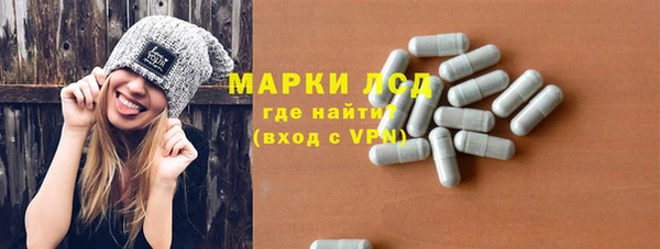 прущие грибы Россошь