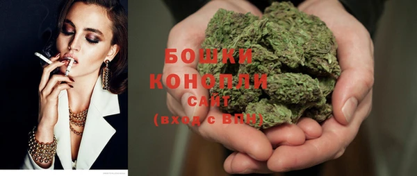 твердый Рославль