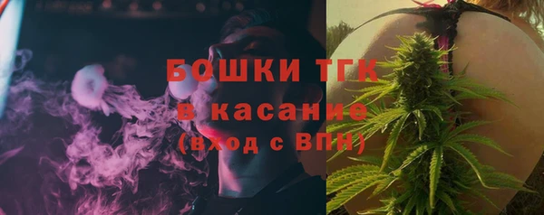 прущие грибы Россошь