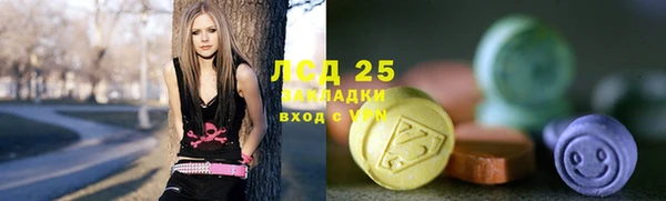 прущие грибы Россошь