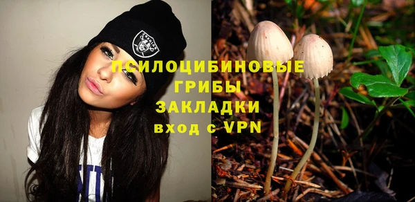 твердый Рославль