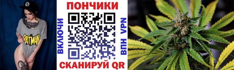 Шишки марихуана конопля  darknet официальный сайт  Циолковский  купить наркотики сайты 